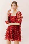 Crimson Kiss Floral Appliqué Dress